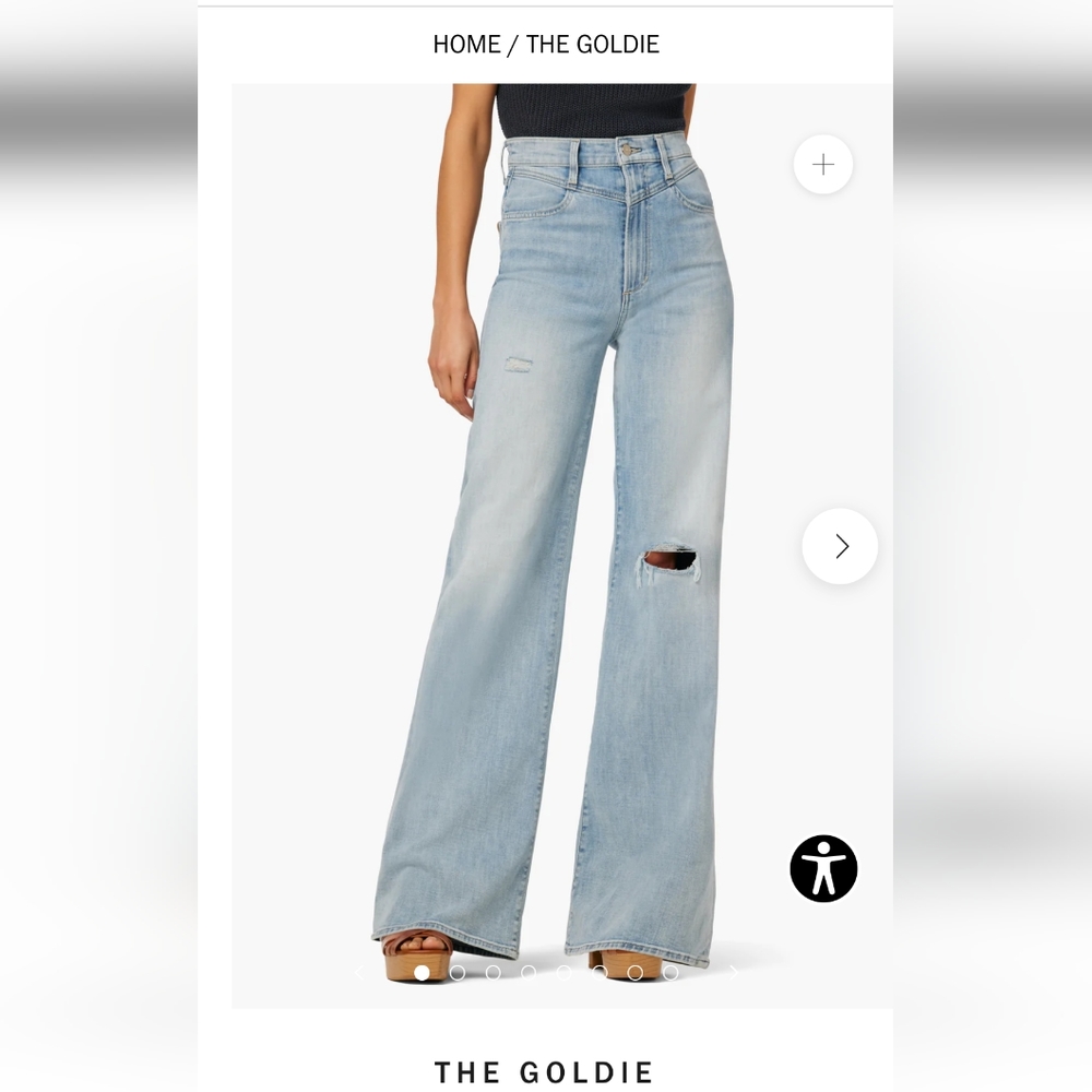NWT Joe's Jeans High Rise Wide Leg The Goldie